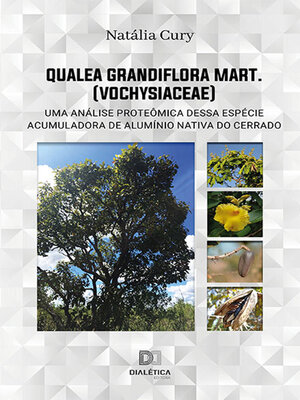 cover image of Qualea grandiflora Mart. (Vochysiaceae)